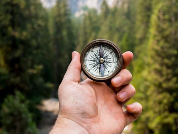 Bushido Page | Steve Kantor