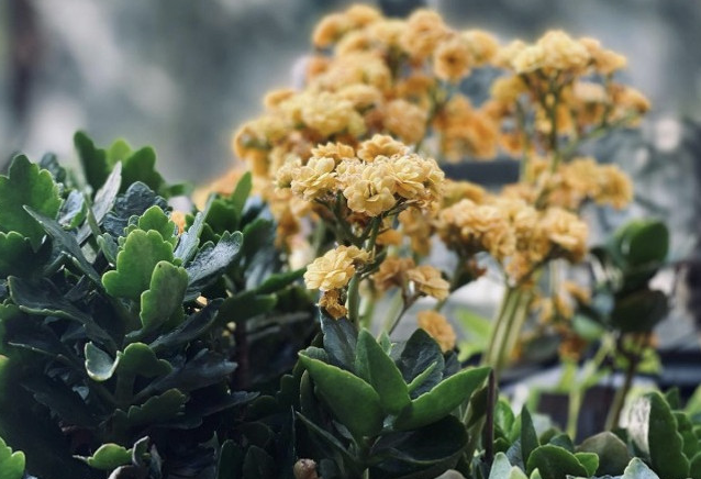 Time to Experience Happiness