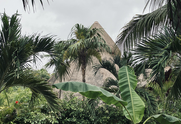 Trust: Can you ever fully trust someone?