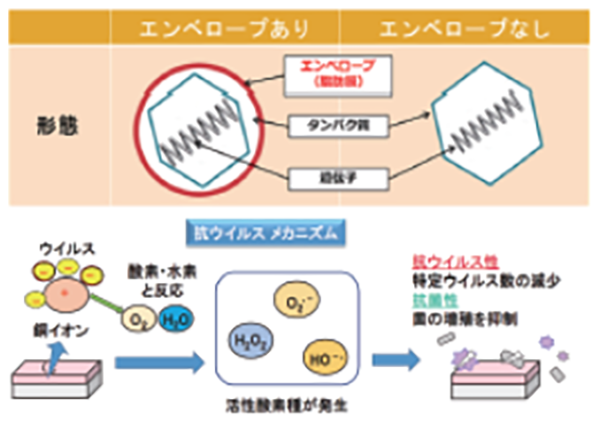 ウイルスに長く効果を発揮