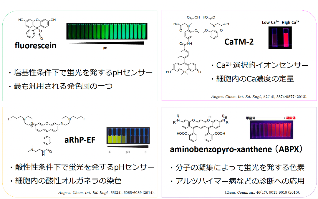 機能性蛍光色素とは​