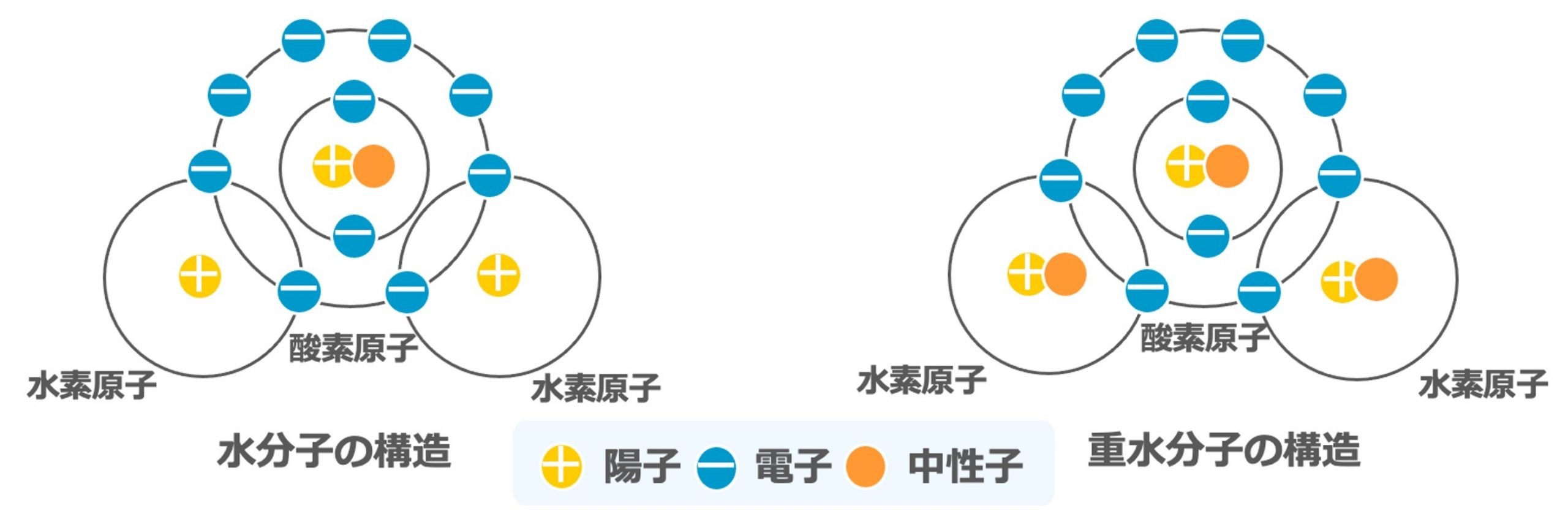 有機EL分野で注目の重水素