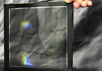 低コストで実用化が可能