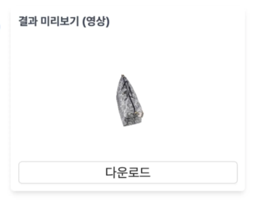 Image 4. Video Recording Preview Window