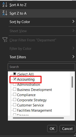 Why Mastering Excel in 2025? It can boost your career.
