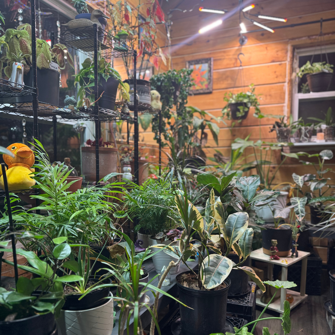 Decent Duck's Premium Shit banner