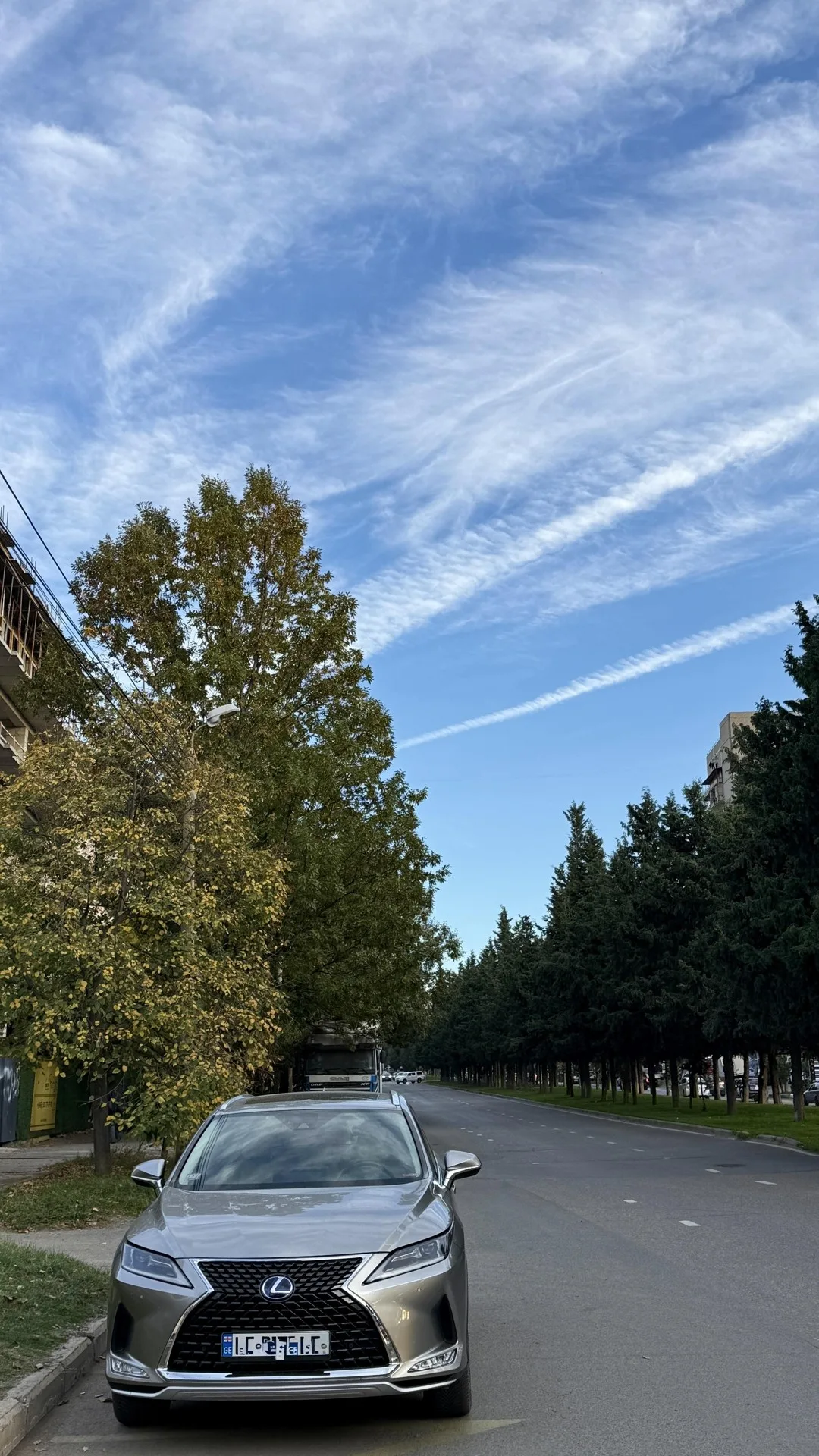 Aleksi Gobronidze St, 32a · 55 m² · 10/11