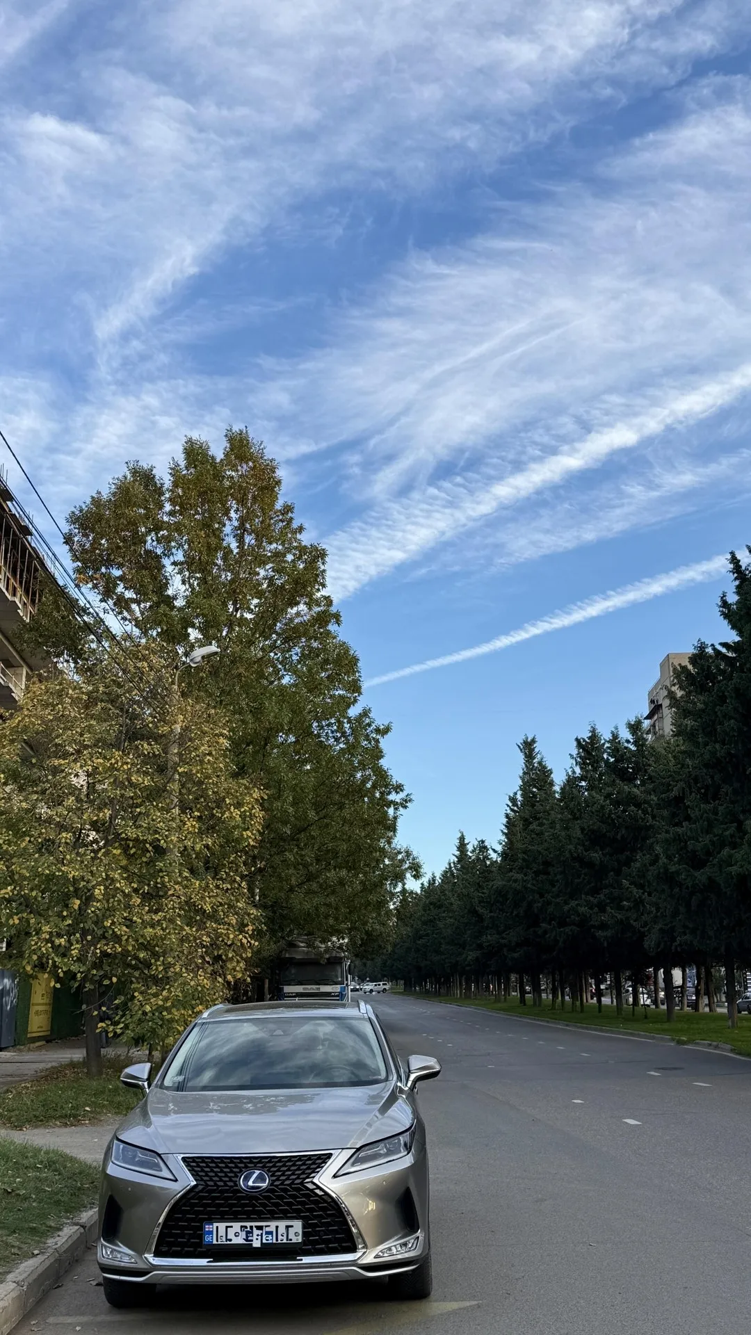 Aleksi Gobronidze St, 32a · 55 m² · 10