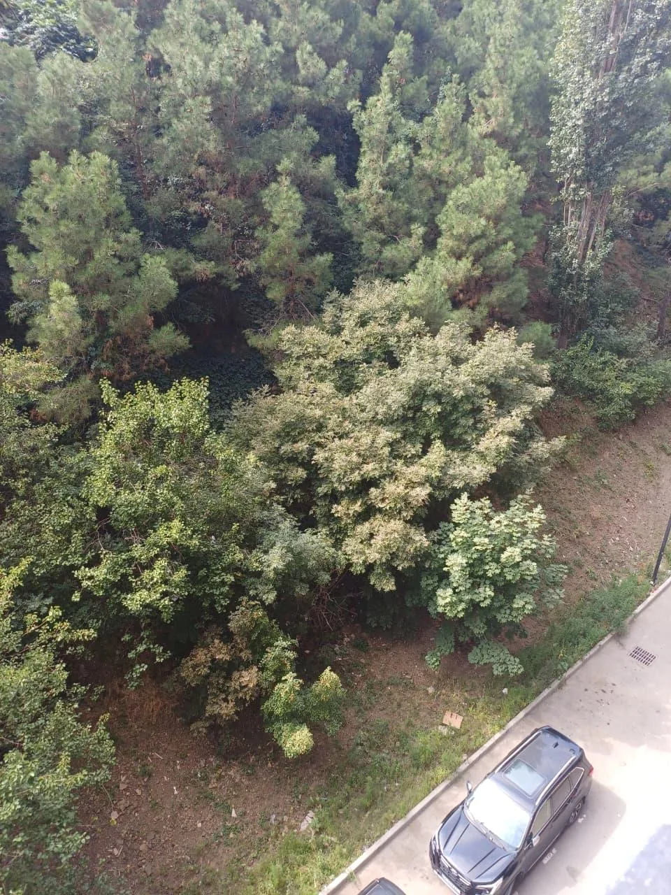 Amberki Tabidze St, 43 · 49.15 m² · 11/12
