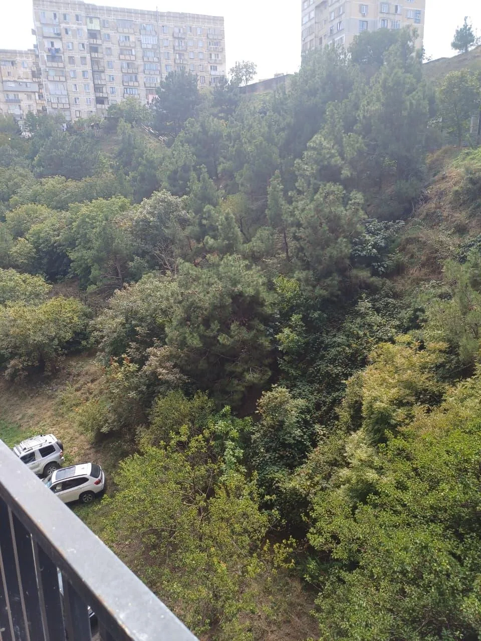 Amberki Tabidze St, 43 · 49.15 m² · 12/12