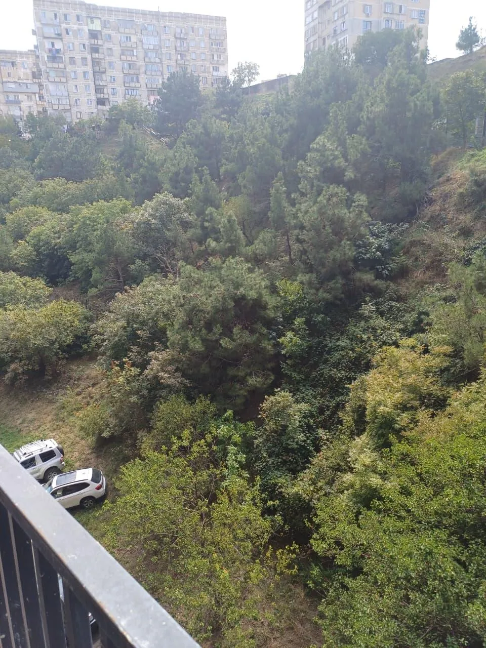 Amberki Tabidze St, 43 · 49.15 m² · 12