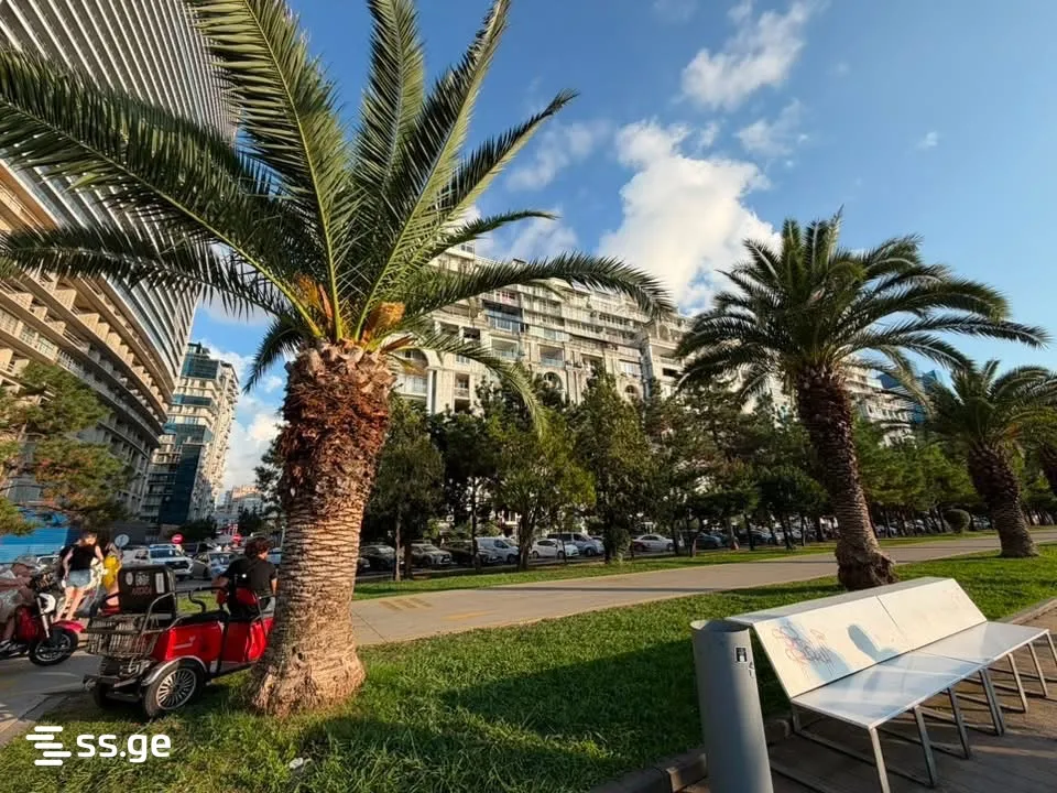 3 room Flat For Sale. Batumi · 10