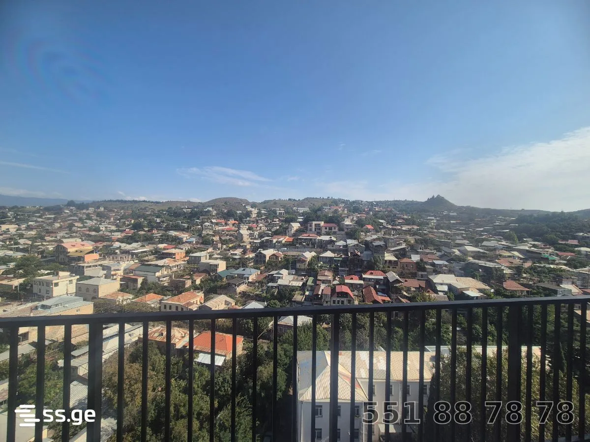 2 room Flat For Sale. Nadzaladevi · 11/12