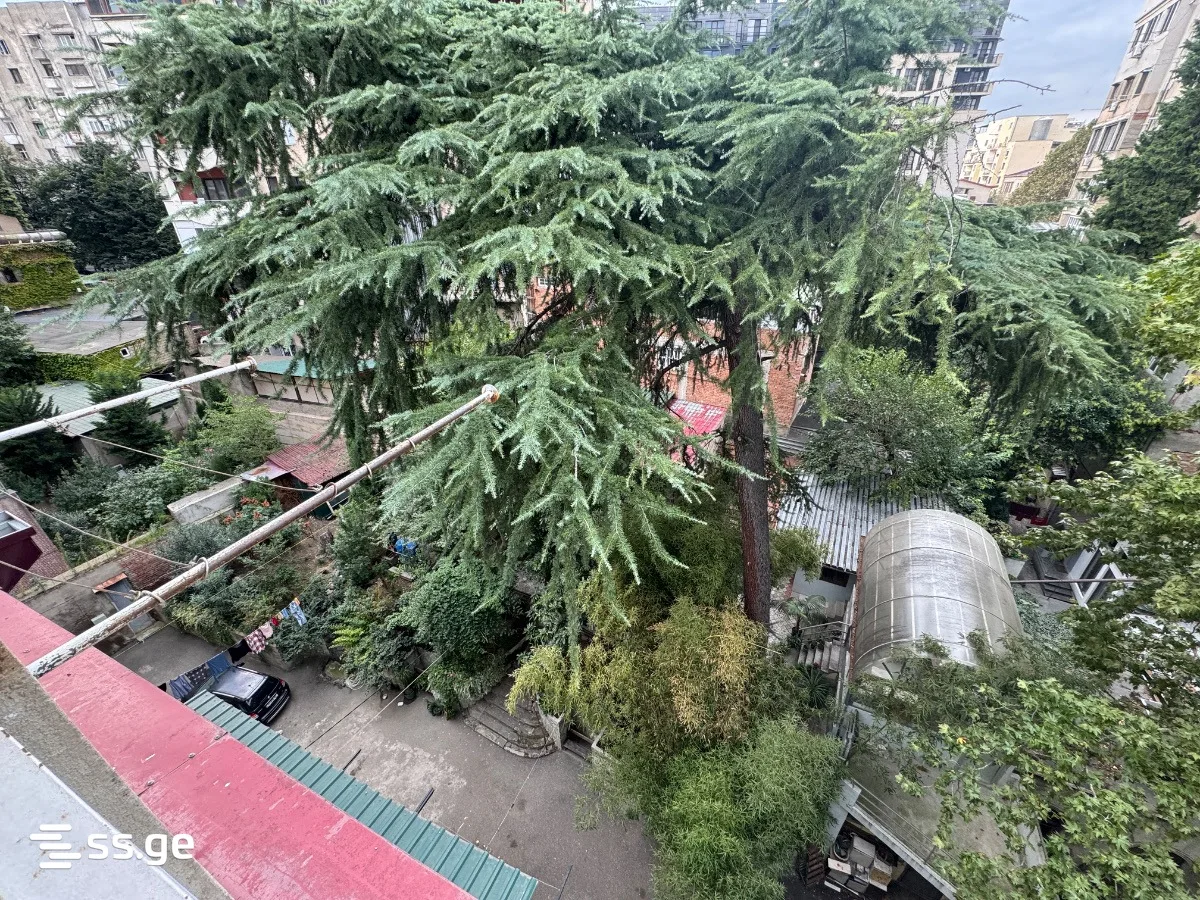 3 room Flat For Sale. Vera · 11/11
