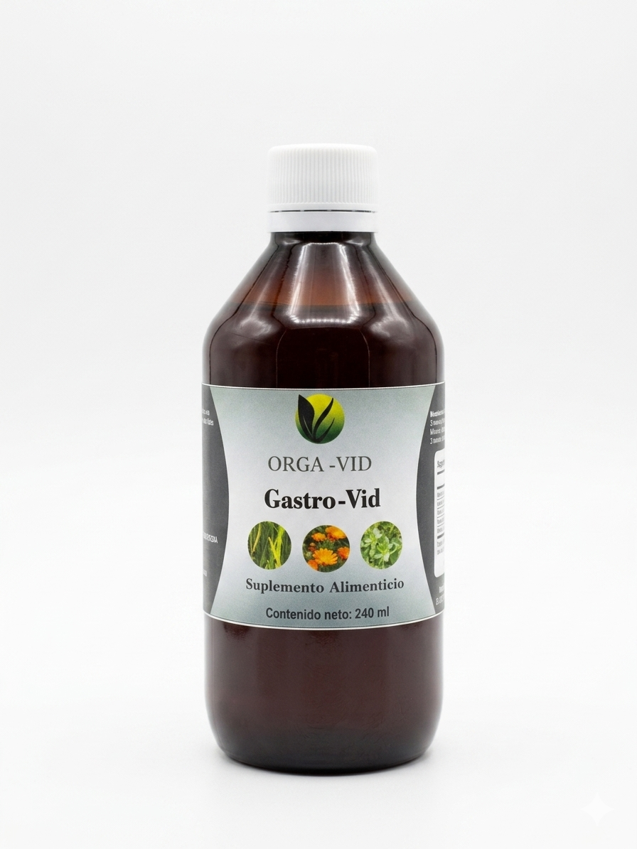 Imagen de Gastro-Vid
