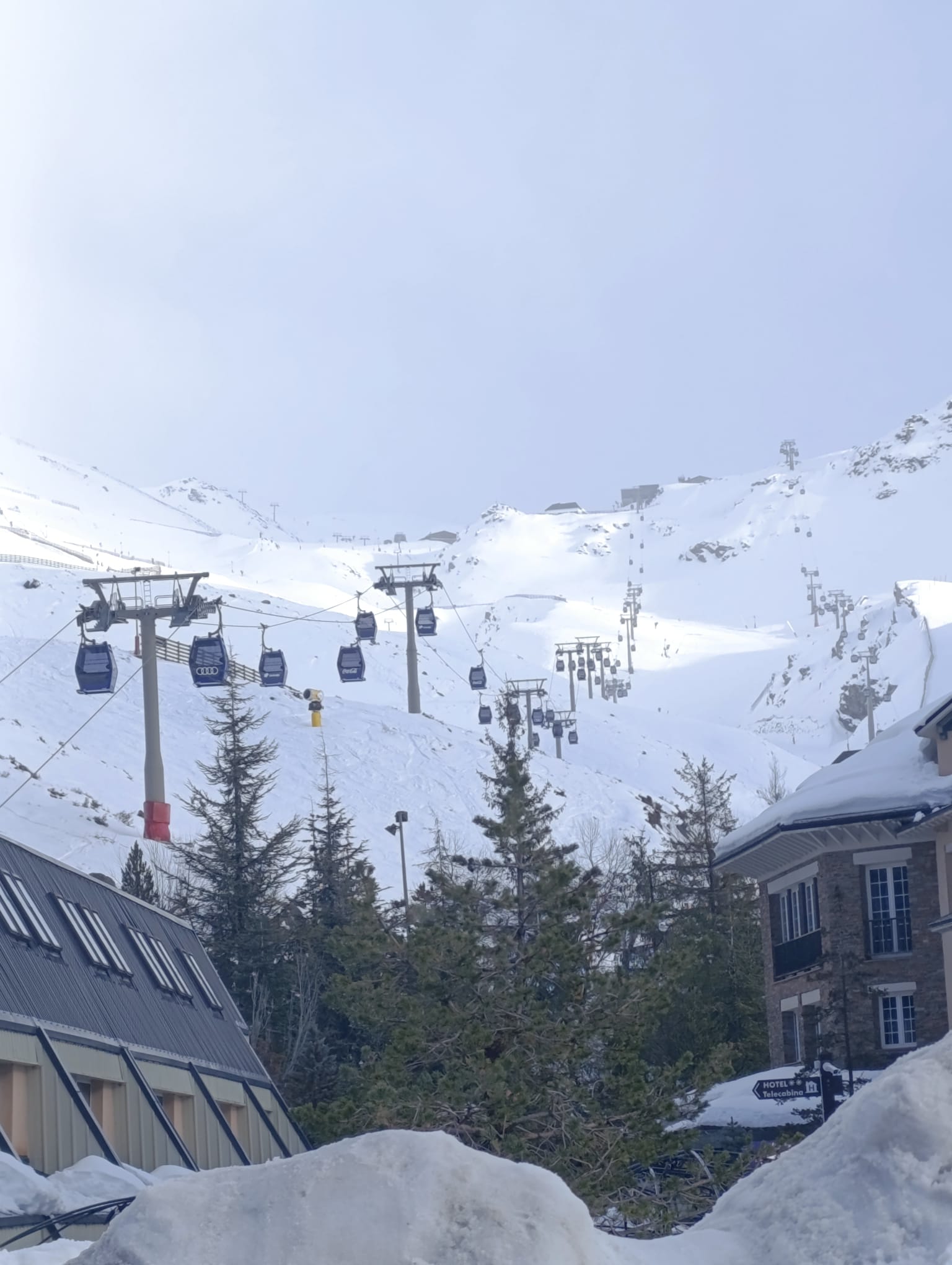 Sierra Nevada en directo