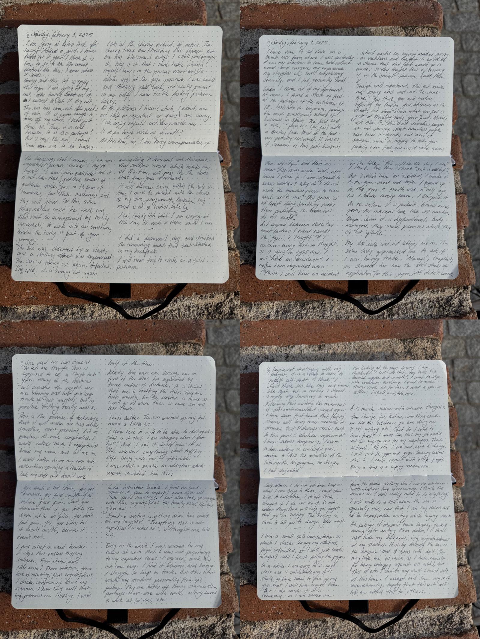 diary<em>grid</em>2x2.jpeg