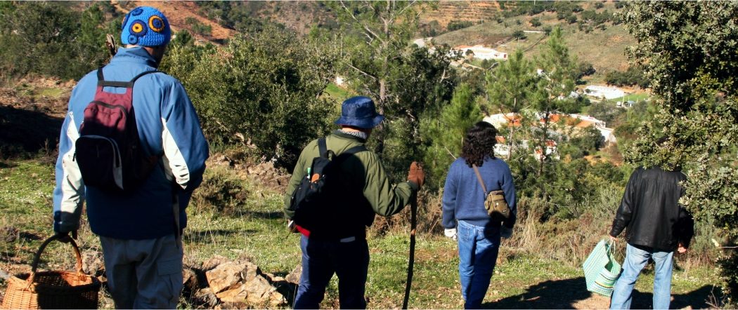 Ciclo Passeios Natureza 2026