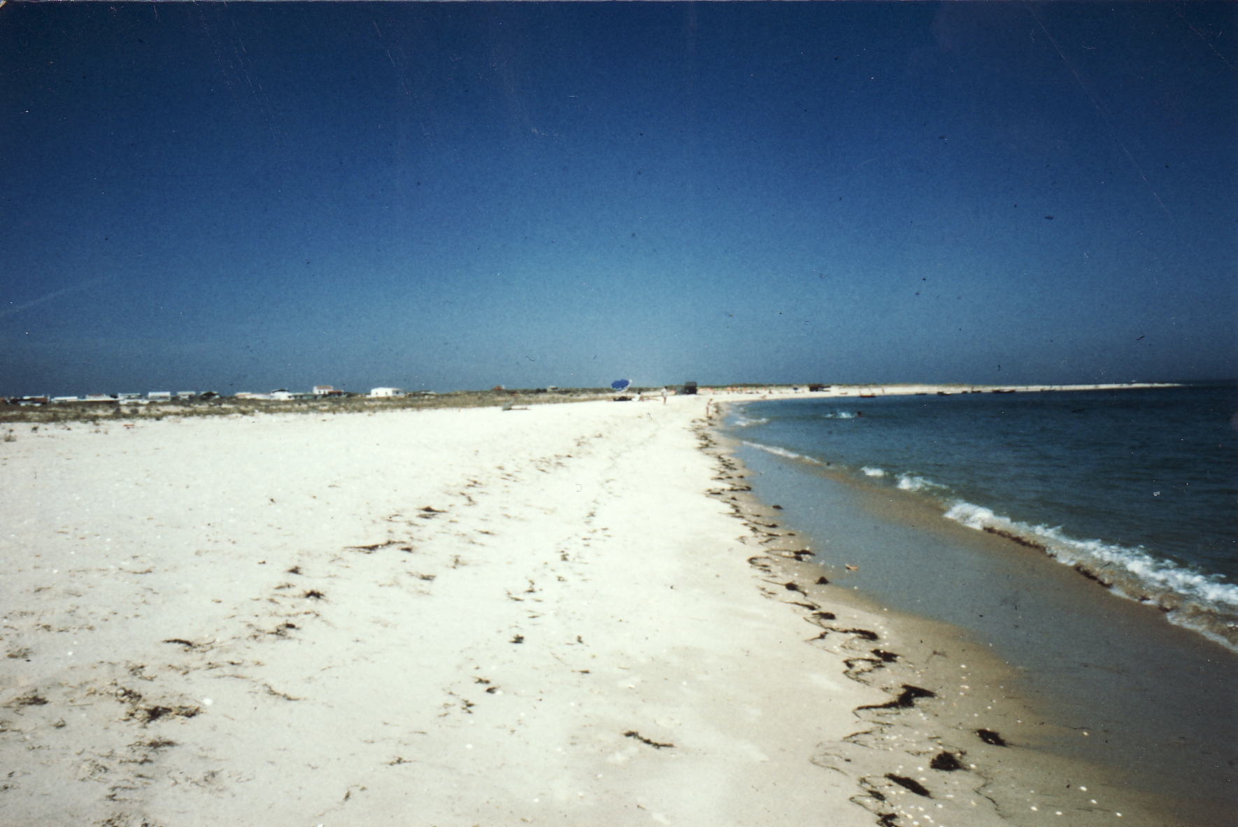 Ilha da Armona, Olhão