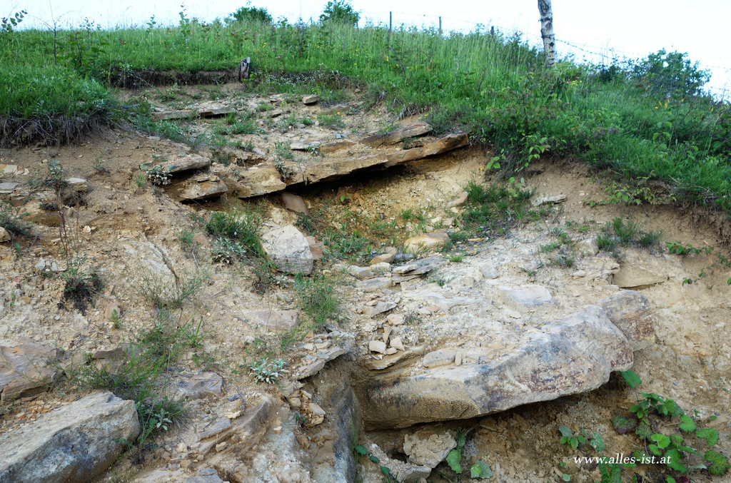 Tumulus "Vratnica"