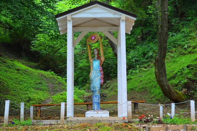 Gallery Photo