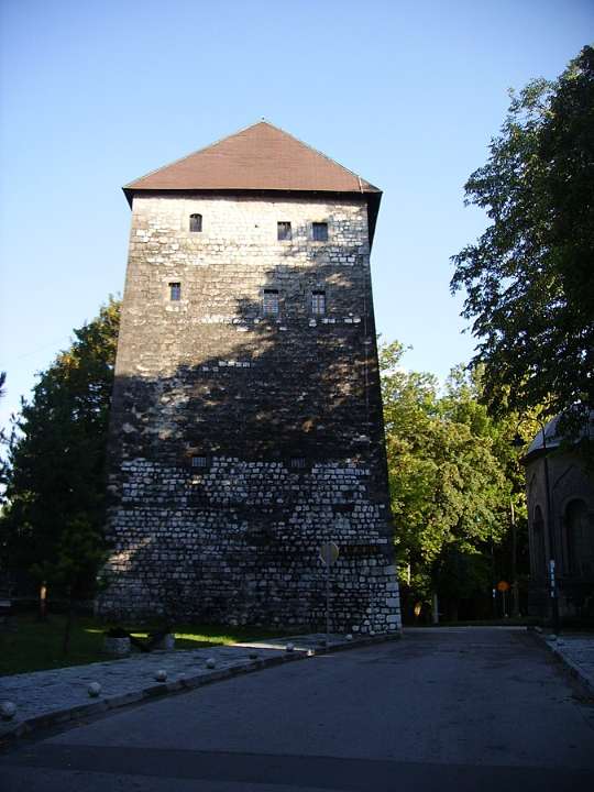 Gallery Photo