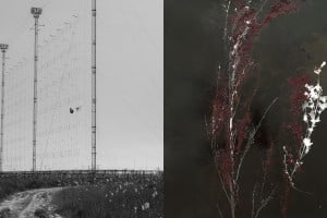 After Nature Prize 26