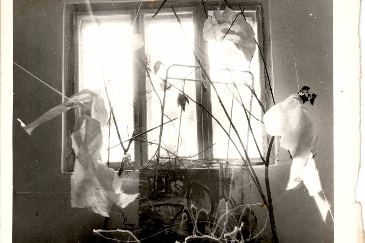 Rostislav Čuřík
(Photography)