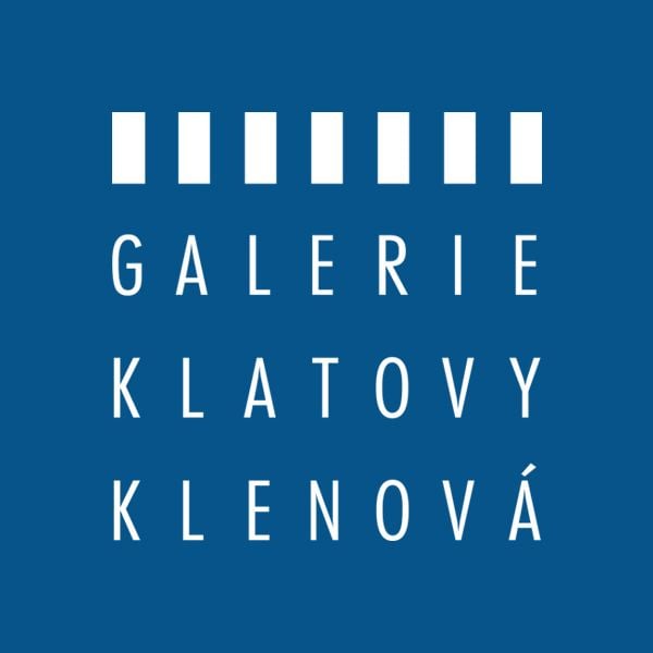 Martin Salajka / Blind Spot