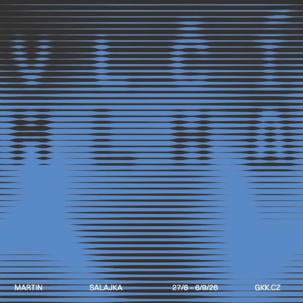 Martin Salajka / Blind Spot