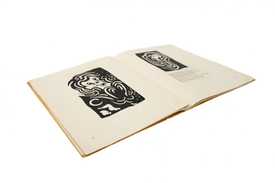 The enchanting beauty of eternal pages
