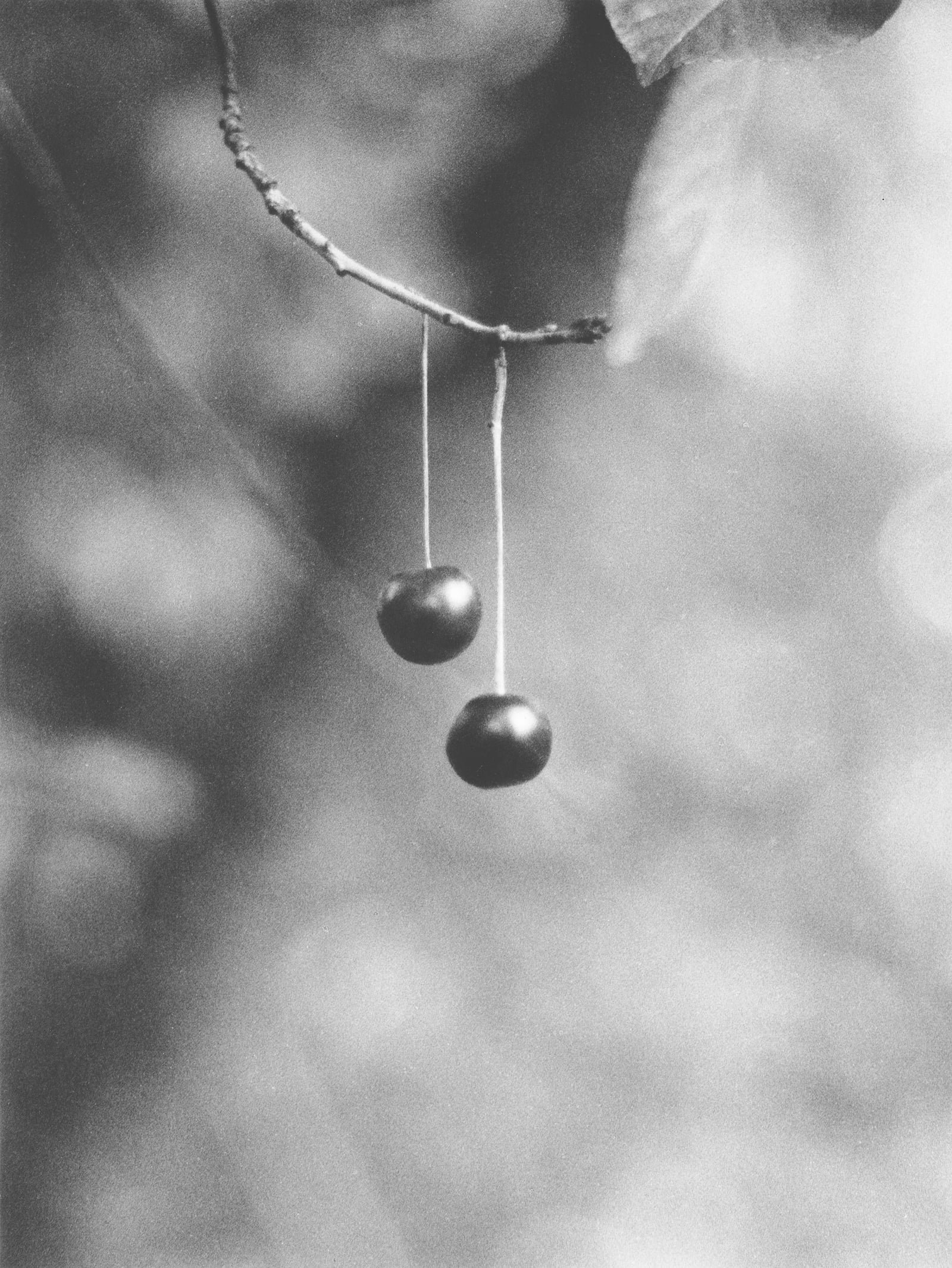 Jochen Lempert