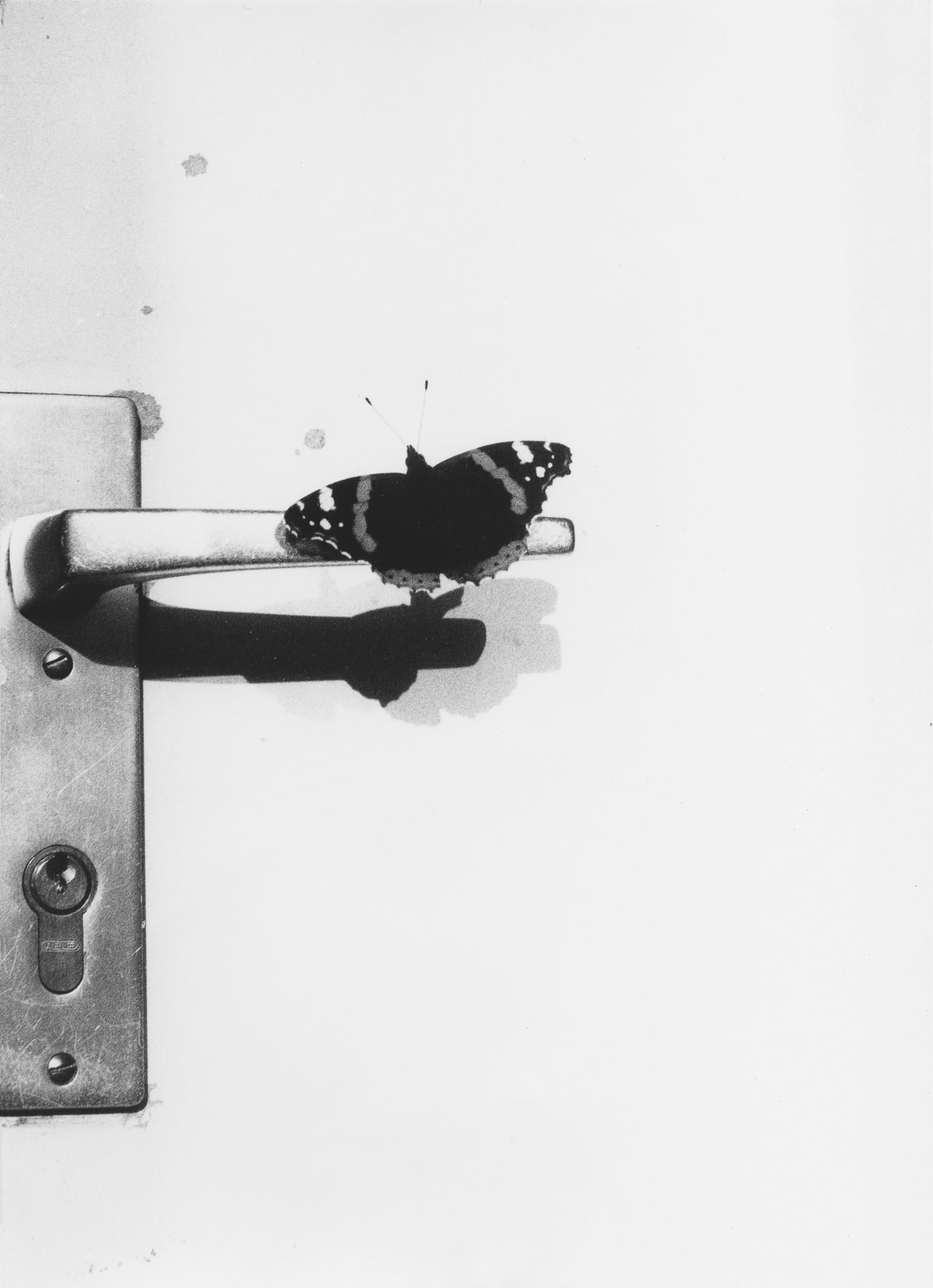 Jochen Lempert