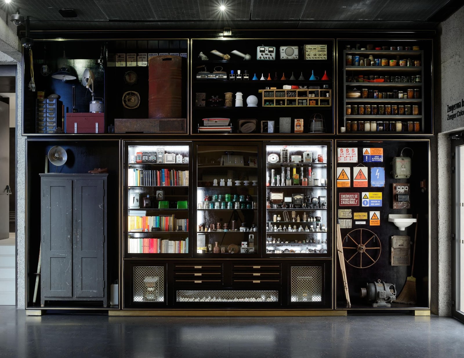 Mark Dion: Cabinet of Electrical Curiosities