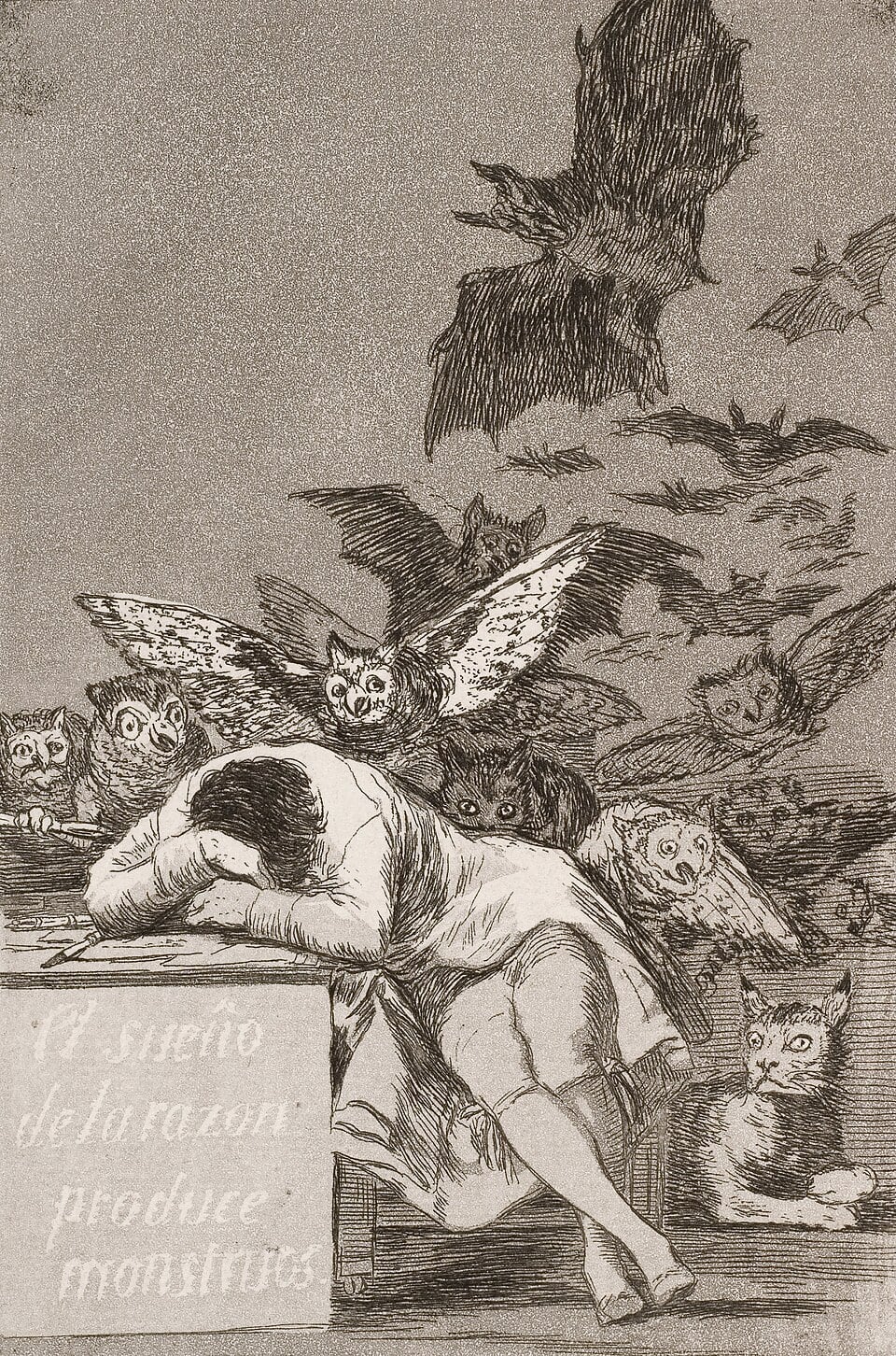 Sleep