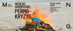 Nicolas Grospierre. Permacrisis