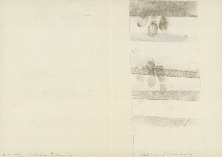 Adriena Šimotová: Works on Paper