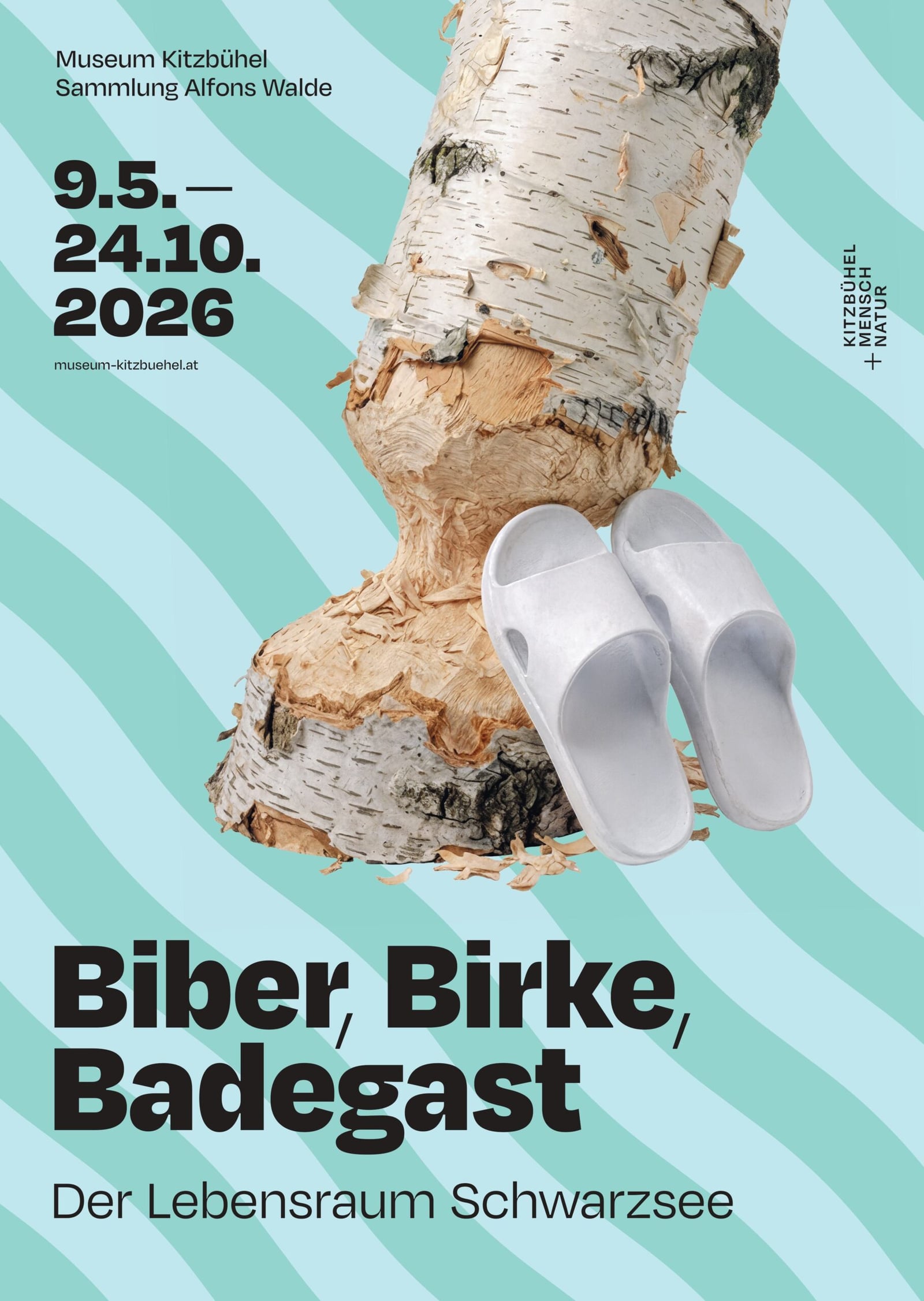 Biber, Birke, Badegast.
Der Lebensraum Schwarzsee