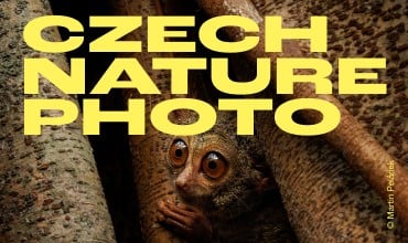 Czech Nature Photo: The Best Nature Photographs