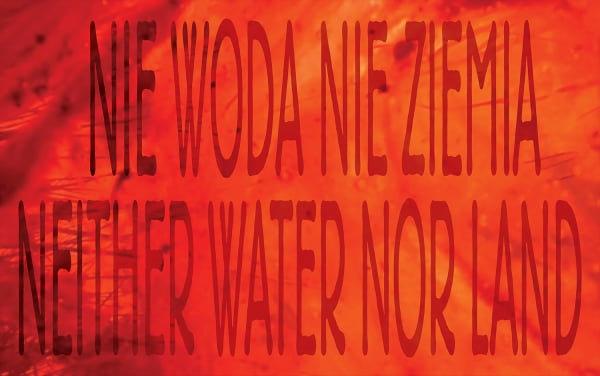 Neither Water Nor Land
