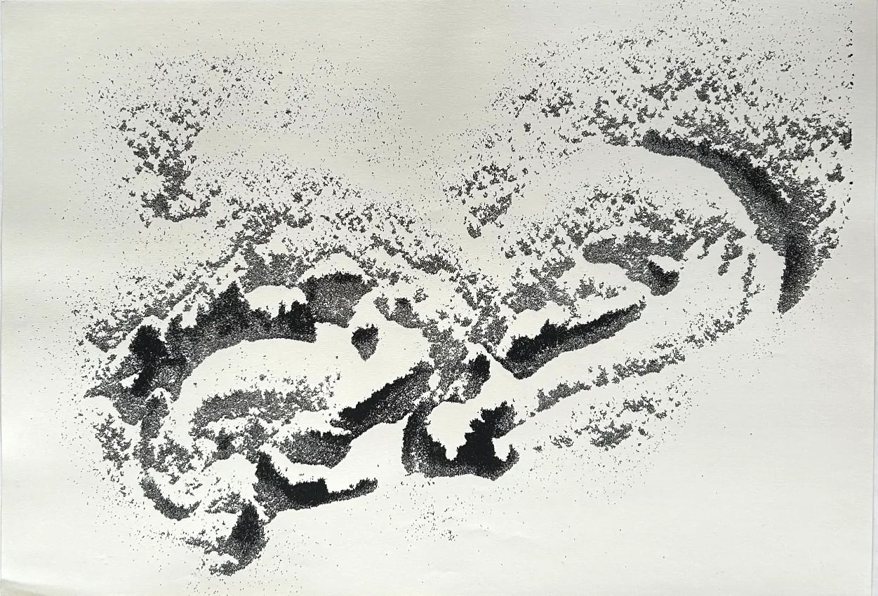 Rasterized | Screen Prints of the FAMU Department of Photography