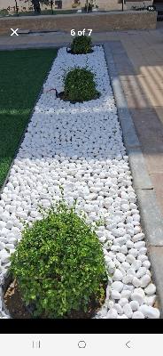 بيك أب 3 طن