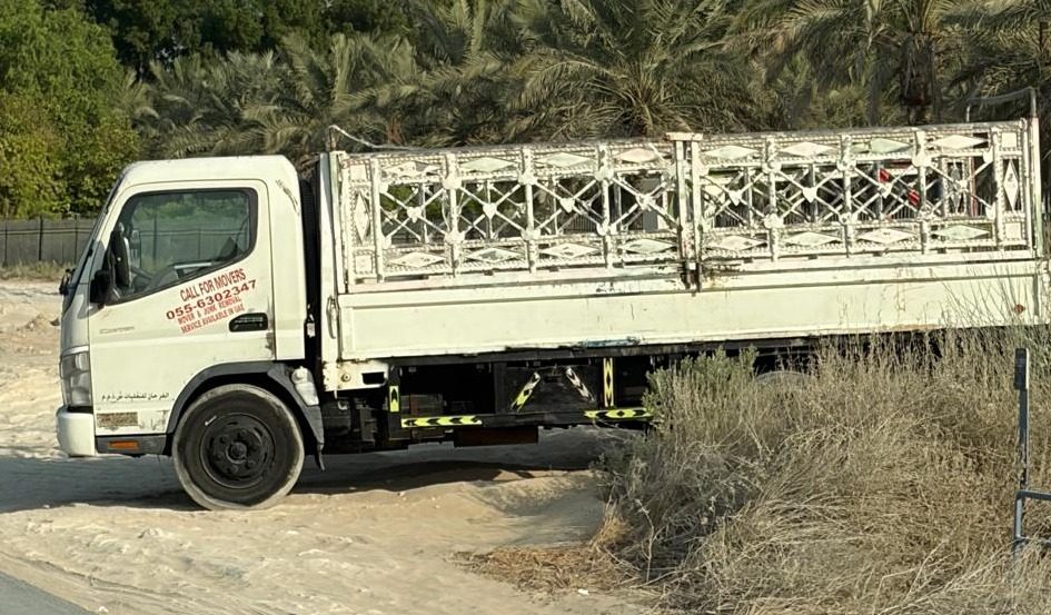 3 ton Pickup — صورة 1 من 1