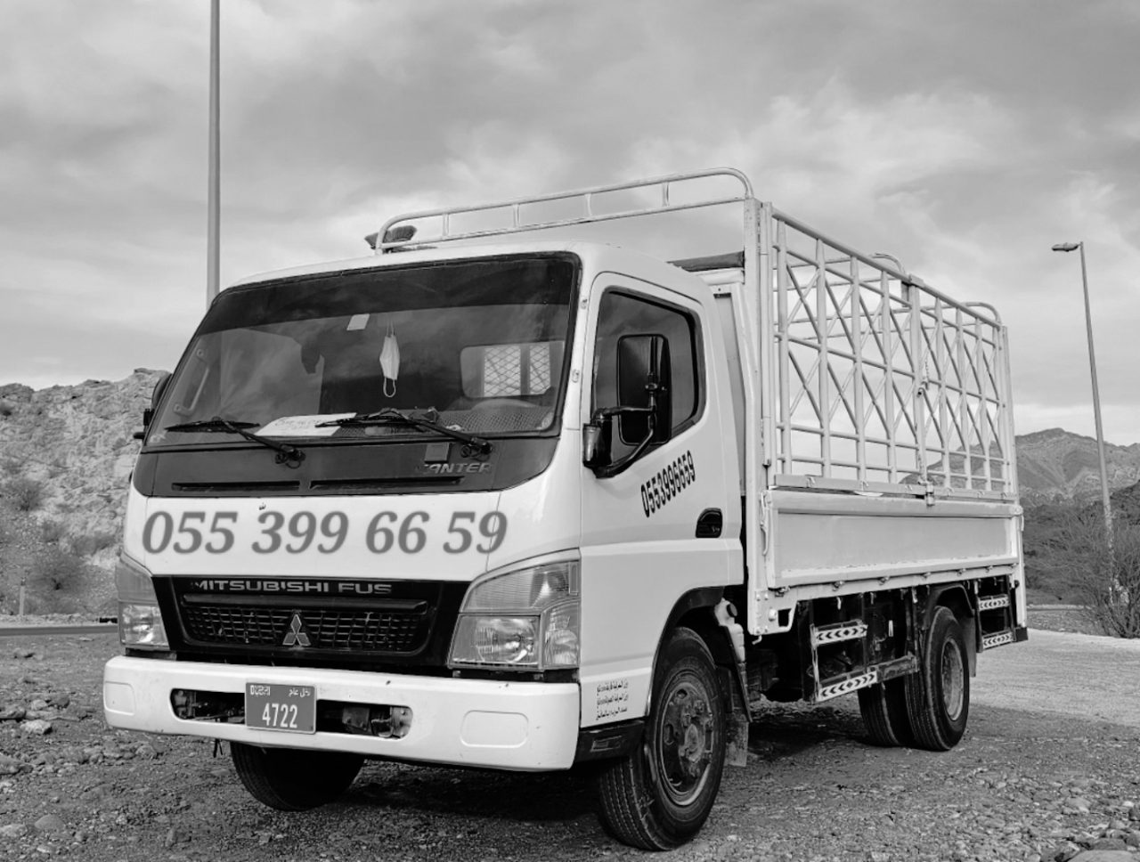 3 ton Pickup — صورة 1 من 1