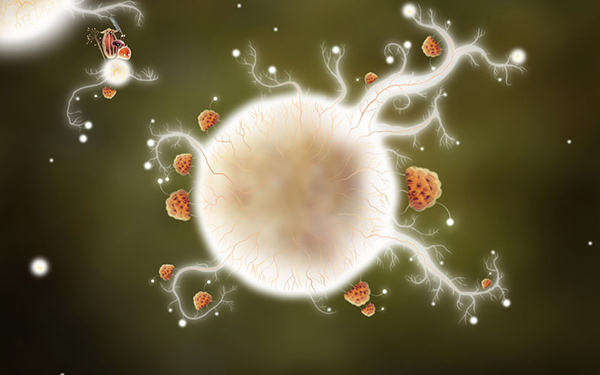 Botanicula (2012)