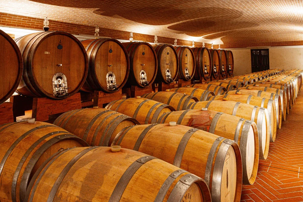 Gallery image 1 for Bruno Rocca