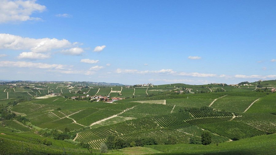 Gallery image 2 for Bruno Rocca