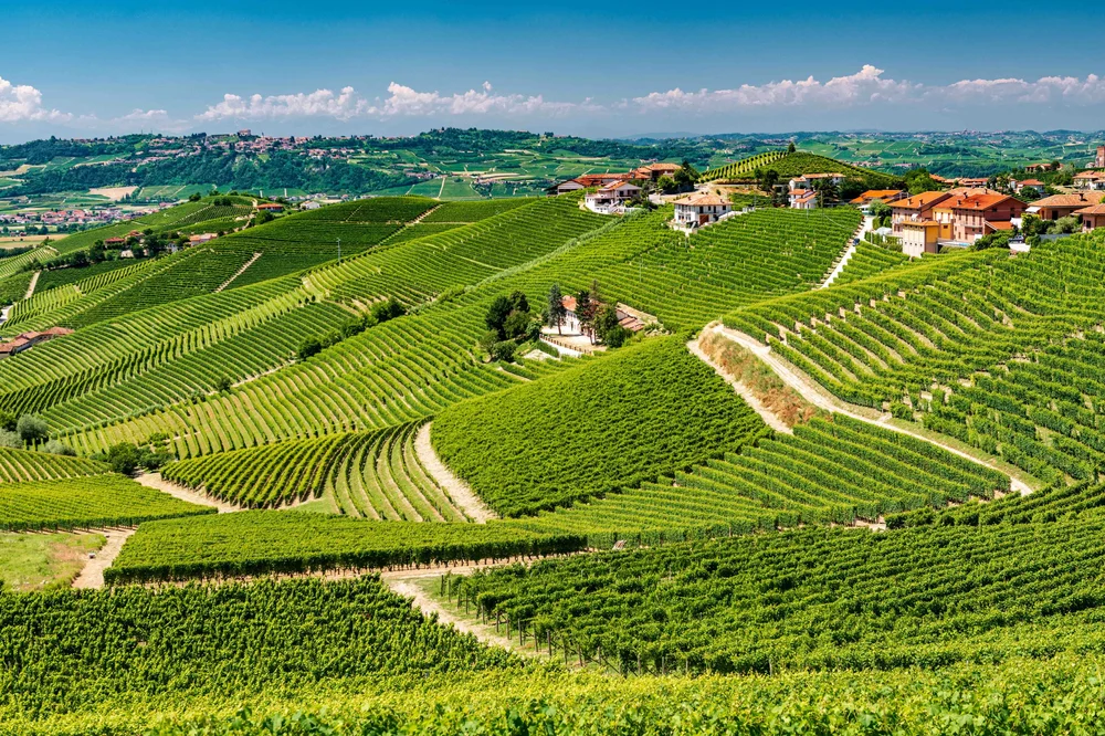 Gallery image 3 for Bruno Rocca