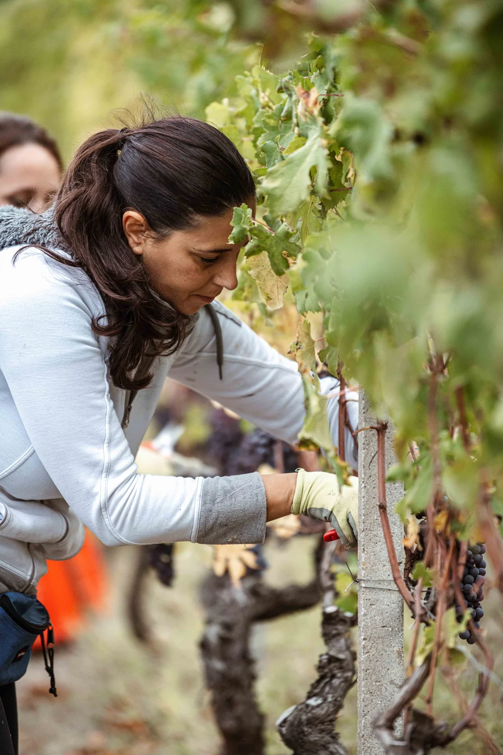 Gallery image 4 for Bruno Rocca