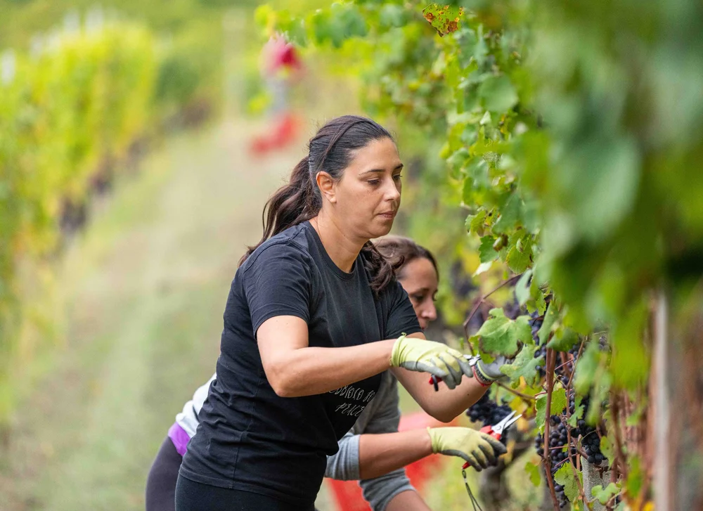 Gallery image 5 for Bruno Rocca